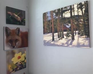 Wildlife Canvas Wall Art