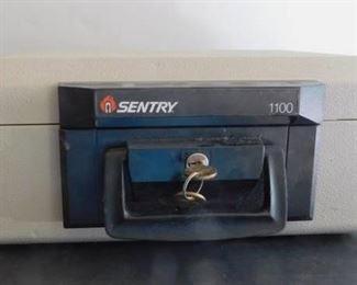 Sentry Fire Safe