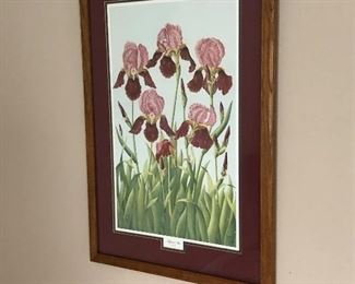 Local artist Biagi print of two tone iris