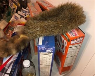 Sports Memorabilia, Baseball carts, sports figures, prints and posters etc. And coon skinned cao