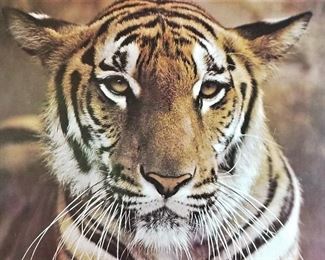 Tiger art.