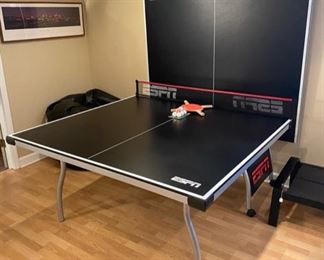 ESPN Ping Pong Table.  It can fold up to practice solo