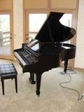 This piano can be bought before sale date. Call or email to see. Susuki Concert Grand Ensemble electronic piano HG- 600 EX. It is located at other home 3 miles from sale location.