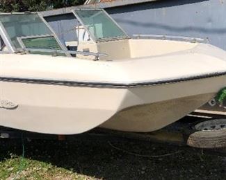 Arrowglass Boat, Evinrude motor & Sylvan trailer 