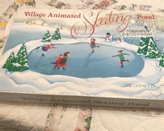 Village skating pond