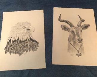 Pencil sketches