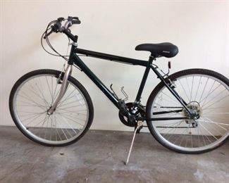 DT101 12 Speed mens bicycle