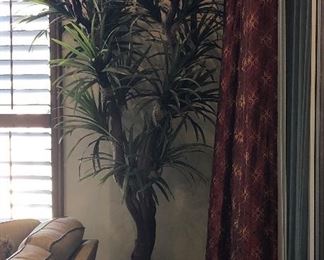 Lg Silk Tree in Beautiful Pot on Castor Base Almost 10'