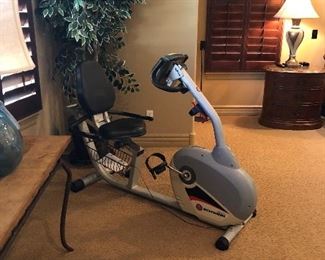 Schwinn Exercise Bike
