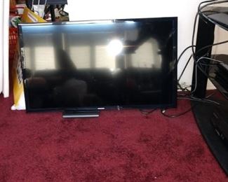 Living Room: Small Flat Screen TV