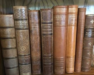 Look at these beautiful leather bound blassics