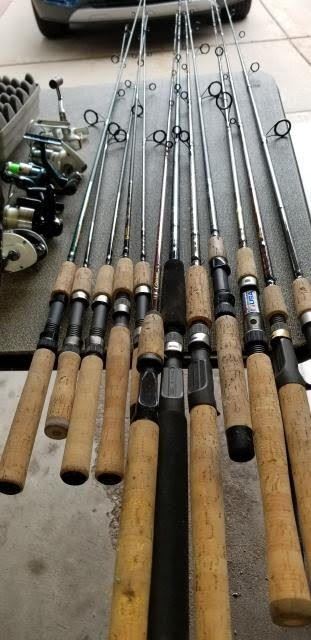 fishing rods muskie