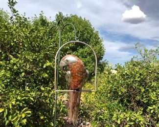 Grab a cracker to feed our Sergio Bustamante parrot.