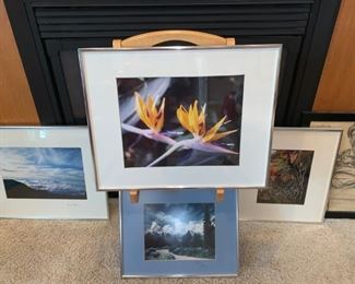 Morry “Adkin Photography “From the Paintbrush of God”, Morry Adkin Photography “Above the Clouds”
Framed Photography Bird of Paradise, Framed Photography Autumn Spider Web!
