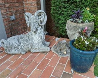 Horny goat, patiently waiting by the front door, to ram anyone who refuses to wear a mask. One of a pair of vintage concrete urns, with fresh summer annuals and a blue glazed terra cotta pot, with begonias; freaky frog !
