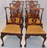 175 - Set of 6, Early, Mahogany, Chippendale Dining Chairs with ball & claw feet