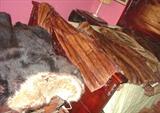 Assortment of Fur Coats