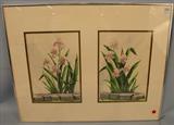 060 - Framed Pair of Watercolor  By Howard Feury, Iris, 10in. X 13.5in. Each Frame 22in. X 28in.