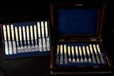 049 - Rosewood Cased set of 12 Place Setting, Victorian Steak Knives & Forks, Engraved with Celluloid Handles Marked Festing Lente