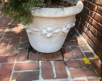 A few planters left potted plants also available