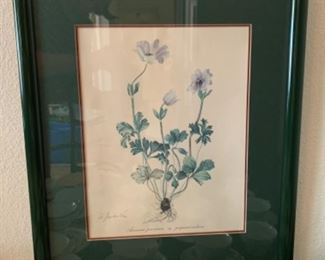 vintage 6 piece botanical framed art, framed dimensions: 18.5”L x 20.5”H