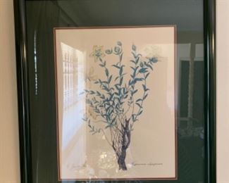 vintage 6 piece botanical framed art, framed dimensions: 18.5”L x 20.5”H