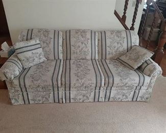 Lacrosse Sleeper Sofa - Needs Some Cleaning