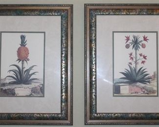 Paragon Picture Studio “Pineapple I” & “Pineapple II” Botanical Print (16 x 20) Framed and Matted. Overall (20” x 24 1/4”)