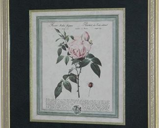 Double Framed w/4” Mat (24”x 26” Botanical Rose Print