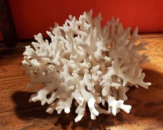 Coral