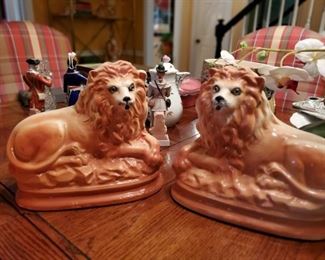 Glass eyed lions