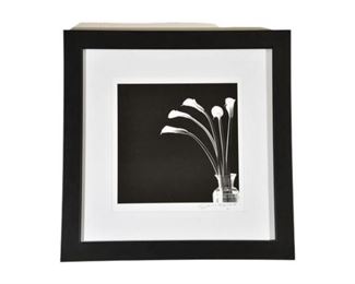 Black and White Floral Photograph Signed