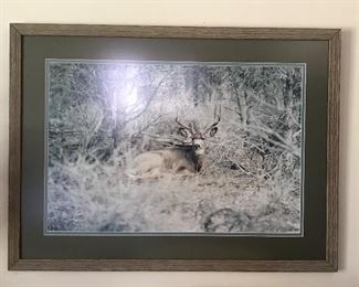 Large framed photo 