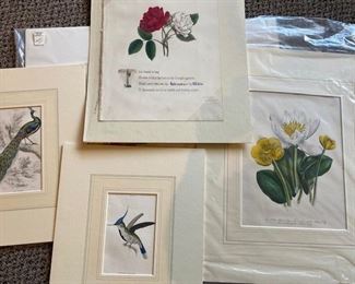 Assortment of antique botanicals prints, WAS $75-$200 each, NOW $10 each.