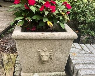 We have 2 of these Large great Lions head planters