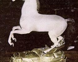 A CONTINENTAL STUFFED FIGURE OF A REARING STALLION, LATE 19TH/20TH CENTURY
Covered in horse hide and hair mane and tail, on rockery giltwood base
15 in. high; 5 1/2 in. wide; 16 in. deep (approximately)                                                     Appraised Value: $500.00