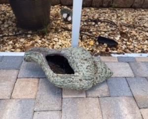 She’ll planter .$40