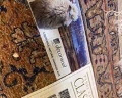 $185 Iran style rug 6" x 9"