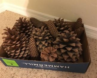 Pinecones