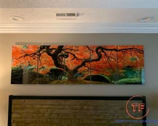 Japanese Maple in Portland Oregon Photograph by RICHARD MARC