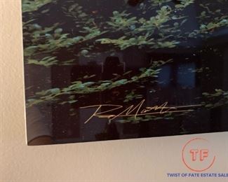 Japanese Maple in Portland Oregon Photograph by RICHARD MARC