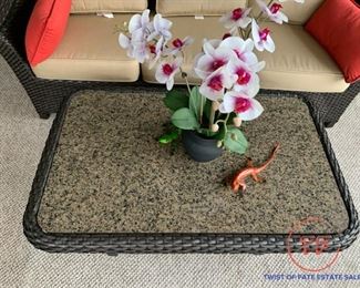 SUNBRELLA Wicker Outdoor/Sunroom Patio Furniture