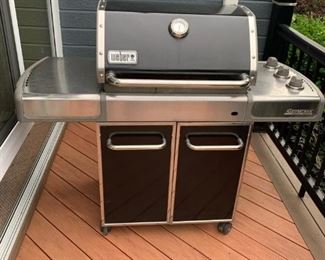 Weber Stainless Steel Grill