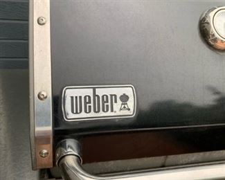 Weber Stainless Steel Grill