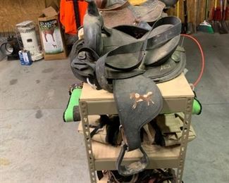 Misc Horse Tack