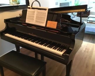 Pristine Ebony WM. KNABE & CO Grand Piano. Concert Artist Series. Purchased in Wilmette purchased for $13,000. Call to discuss details