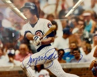 Lot 977. Buy it Now $50.00   Close up of signature.  No COA but owner at a Cubs convention and had Ryno sign it there.