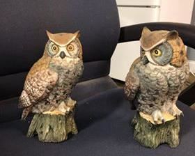 Pair of ceramic owls - $18