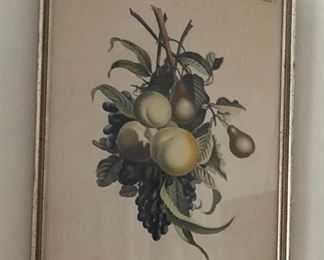 https://www.ebay.com/itm/114314552107	PR2074A Colored Print of Fruit, J. L. Prevost invenit, Ruotte Direxil Local Pickup #1	Auction	 Starts After 6PM 07/22/2020 
