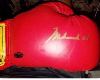 Ali right glove 
